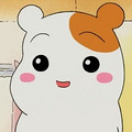 经耿宾